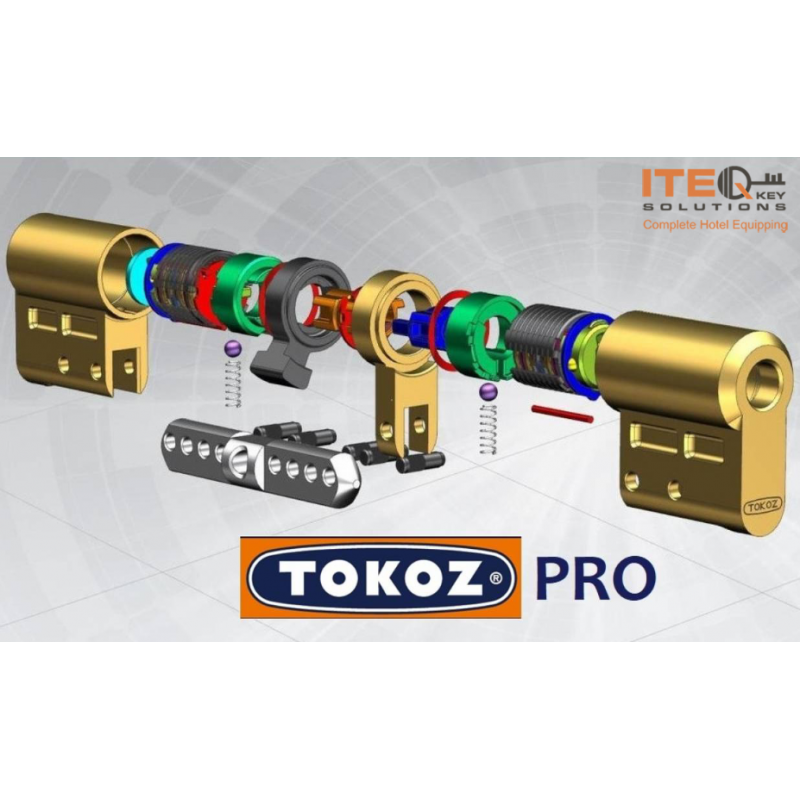 Tokoz PRO 300